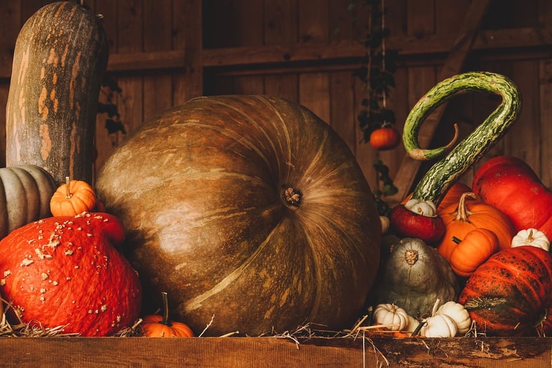 Harvest Sharing